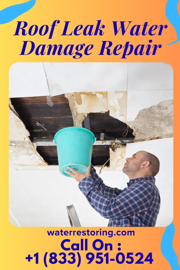 Roof Leak Water Damage Repair in Lockhart, TX
